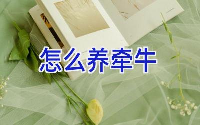 怎么养牵牛插图 怎么养牵牛插图