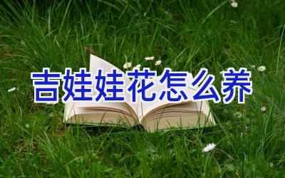 吉娃娃花怎么养插图 吉娃娃花怎么养插图