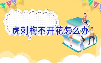 虎刺梅不开花怎么办插图 虎刺梅不开花怎么办插图