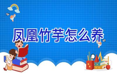 凤凰竹芋怎么养插图 凤凰竹芋怎么养插图