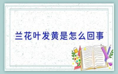 兰花叶发黄是怎么回事插图