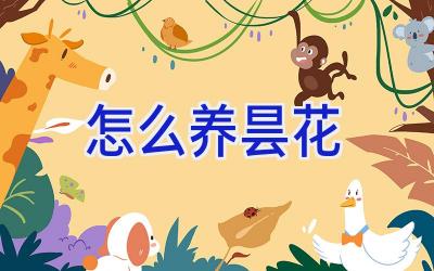 怎么养昙花插图 怎么养昙花插图