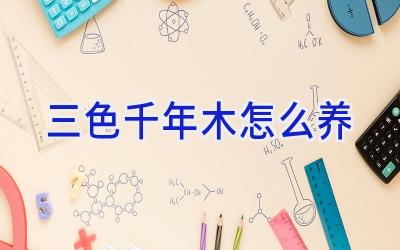 三色千年木怎么养插图 三色千年木怎么养插图