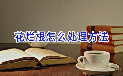 花烂根怎么处理方法插图 花烂根怎么处理方法插图