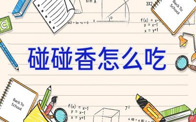 碰碰香怎么吃插图 碰碰香怎么吃插图