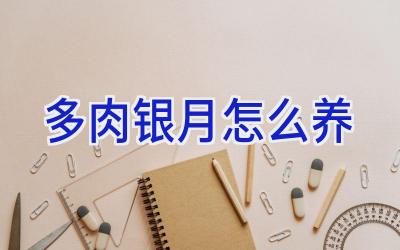多肉银月怎么养插图 多肉银月怎么养插图