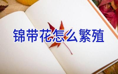 锦带花怎么繁殖插图