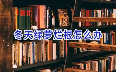 冬天绿萝烂根怎么办插图