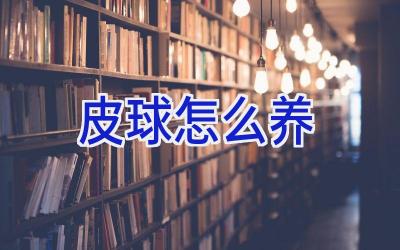 皮球怎么养插图 皮球怎么养插图