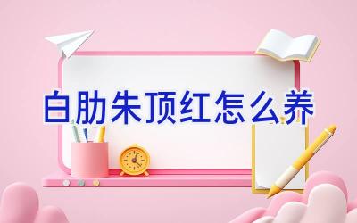 白肋朱顶红怎么养插图 白肋朱顶红怎么养插图