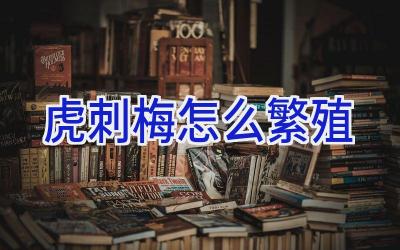 虎刺梅怎么繁殖插图