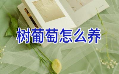 树葡萄怎么养插图