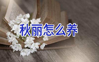 秋丽怎么养插图