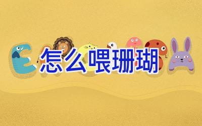 怎么喂珊瑚插图 怎么喂珊瑚插图