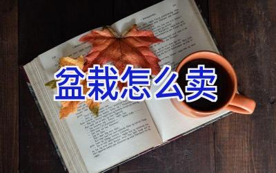 盆栽怎么卖插图 盆栽怎么卖插图