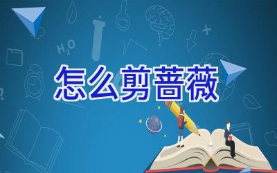 怎么剪蔷薇插图 怎么剪蔷薇插图