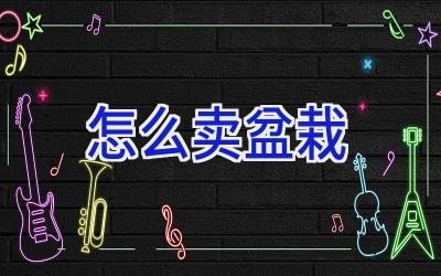 怎么卖盆栽插图 怎么卖盆栽插图