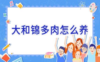 大和锦多肉怎么养插图 大和锦多肉怎么养插图