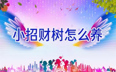 小招财树怎么养插图 小招财树怎么养插图