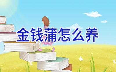 金钱蒲怎么养插图