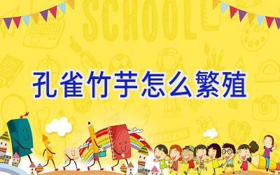 孔雀竹芋怎么繁殖插图