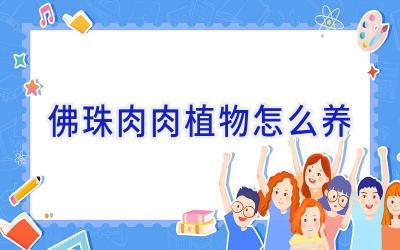 佛珠肉肉植物怎么养插图