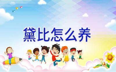 黛比怎么养插图 黛比怎么养插图