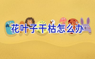 花叶子干枯怎么办插图