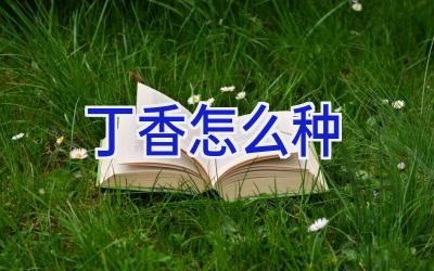 丁香怎么种插图 丁香怎么种插图