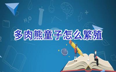 多肉熊童子怎么繁殖插图