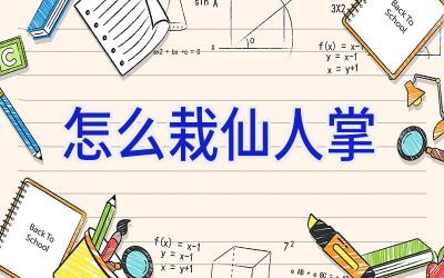 怎么栽仙人掌插图