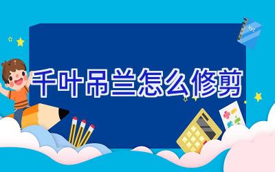 千叶吊兰怎么修剪插图