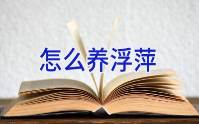 怎么养浮萍插图