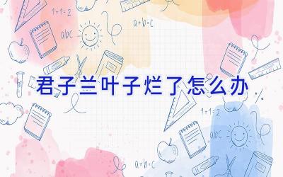 君子兰叶子烂了怎么办插图