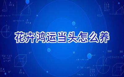 花卉鸿运当头怎么养插图