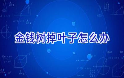 金钱树掉叶子怎么办插图