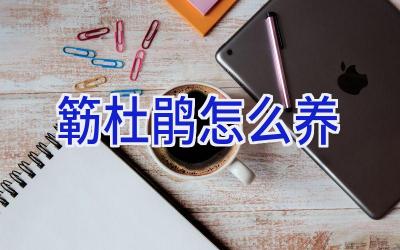 簕杜鹃怎么养插图