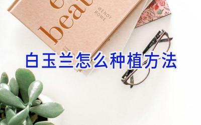 白玉兰怎么种植方法插图