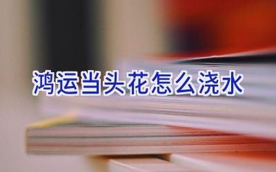 鸿运当头花怎么浇水插图