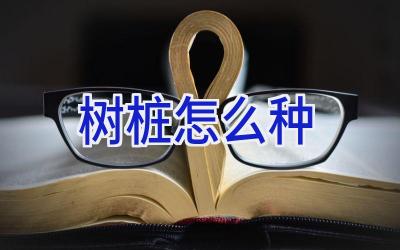 树桩怎么种插图 树桩怎么种插图