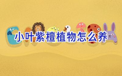 小叶紫檀植物怎么养插图