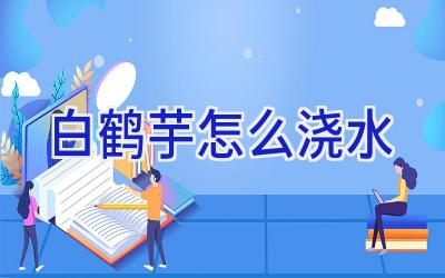 白鹤芋怎么浇水插图 白鹤芋怎么浇水插图