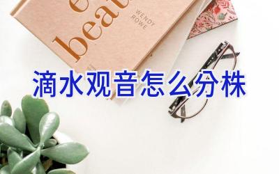 滴水观音怎么分株插图 滴水观音怎么分株插图