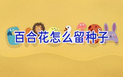 百合花怎么留种子插图 百合花怎么留种子插图