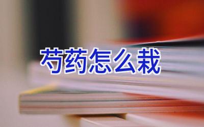 芍药怎么栽插图 芍药怎么栽插图