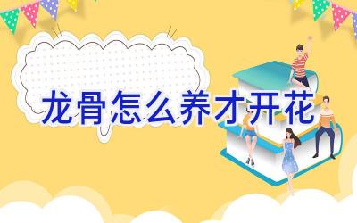 龙骨怎么养才开花插图 龙骨怎么养才开花插图