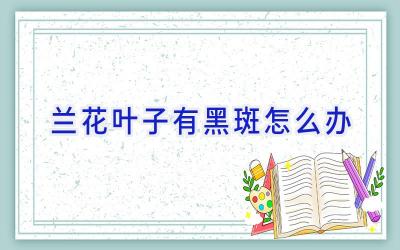 兰花叶子有黑斑怎么办插图