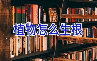 植物怎么生根插图