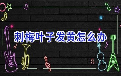 刺梅叶子发黄怎么办插图