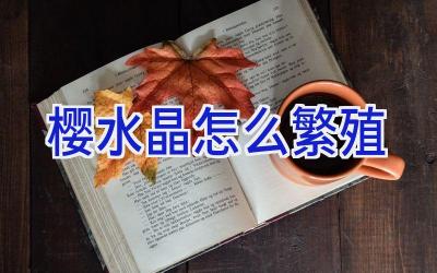 樱水晶怎么繁殖插图